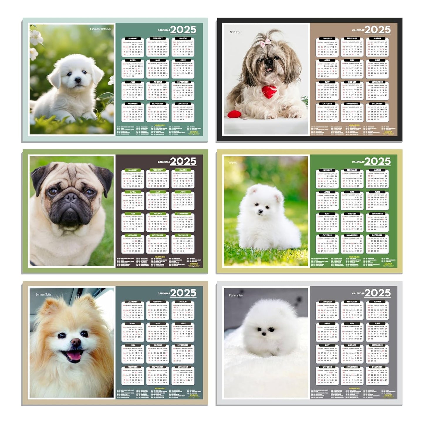 Dog Wall Calendar 2025