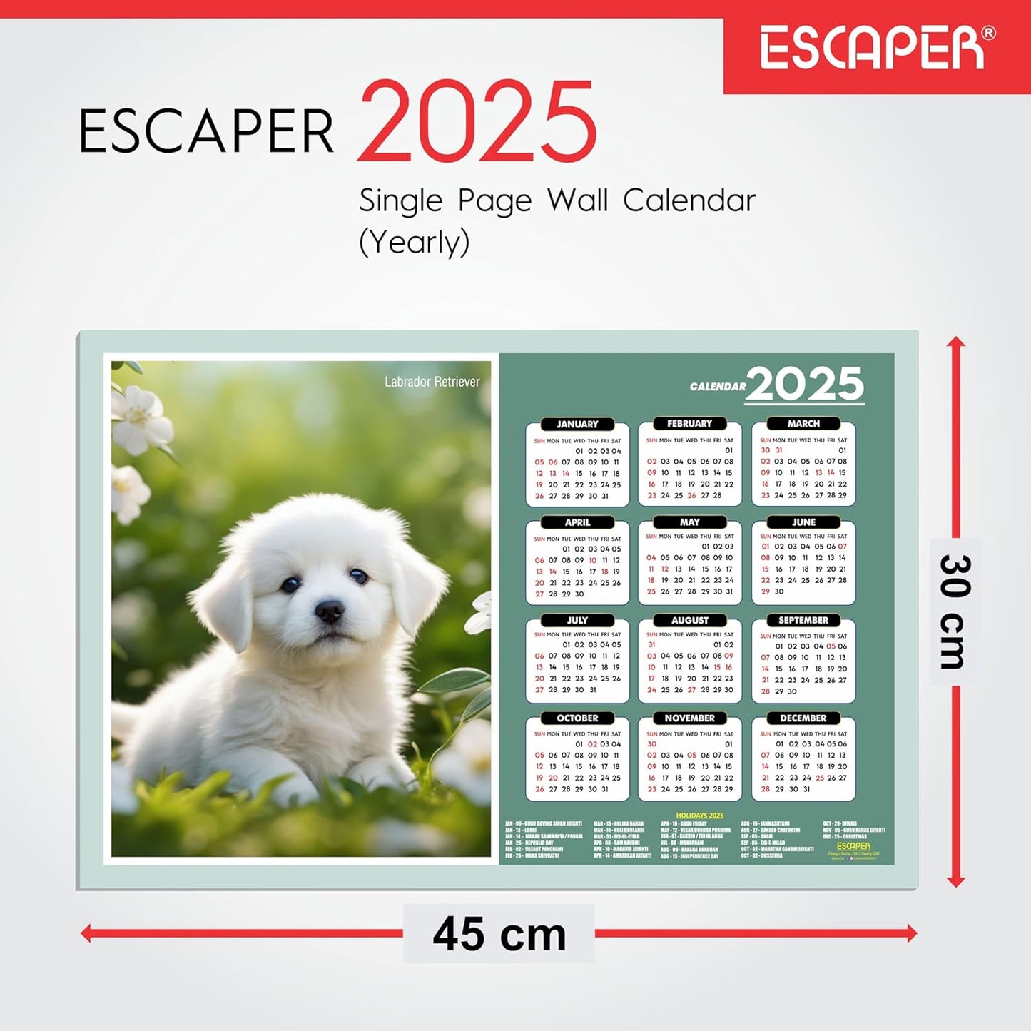 Dog Wall Calendar 2025