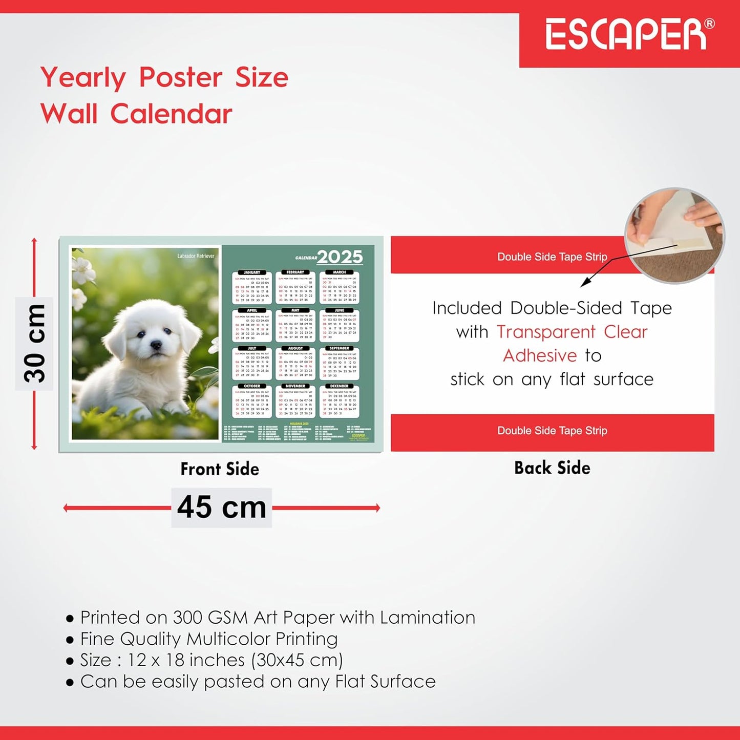 Dog Wall Calendar 2025