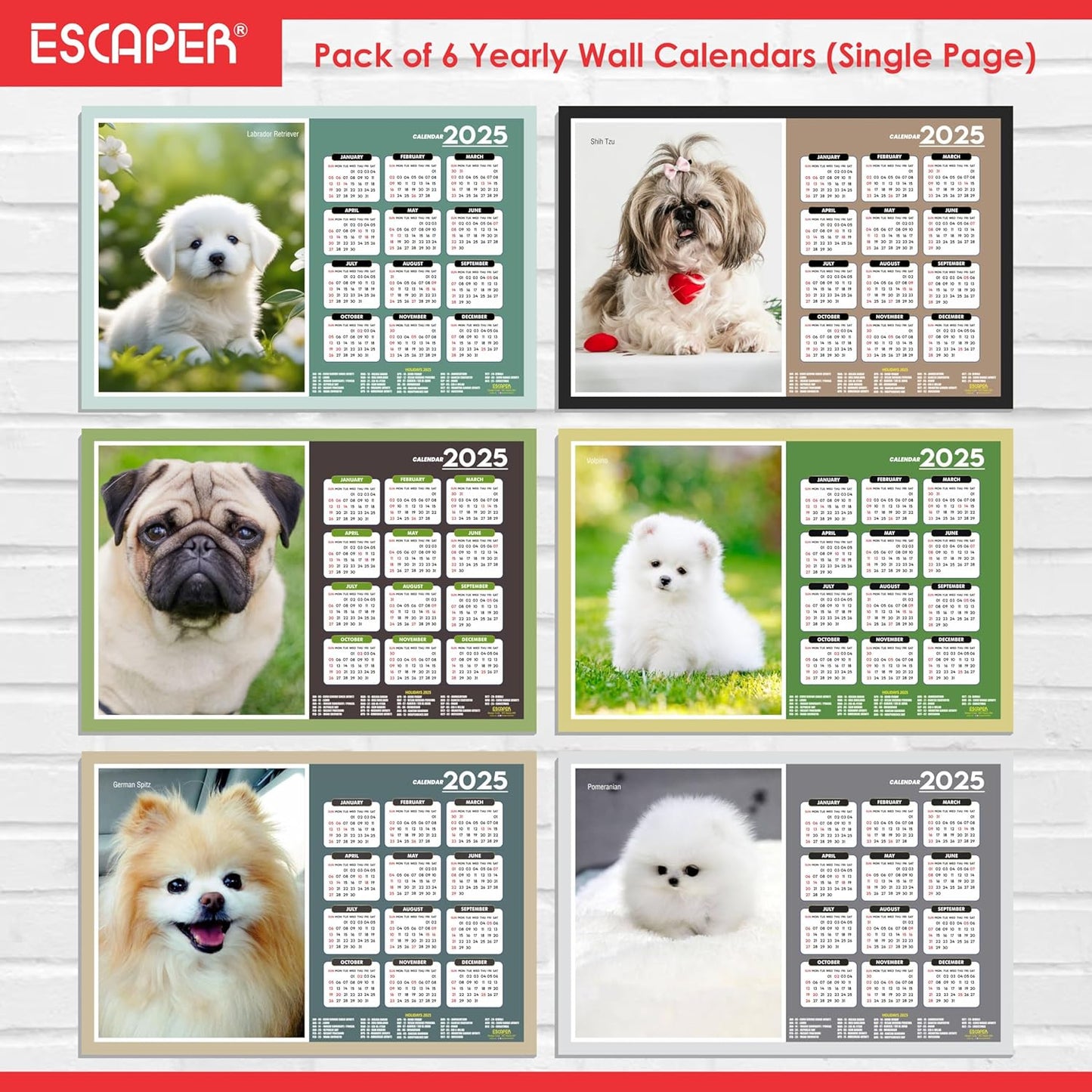 Dog Wall Calendar 2025