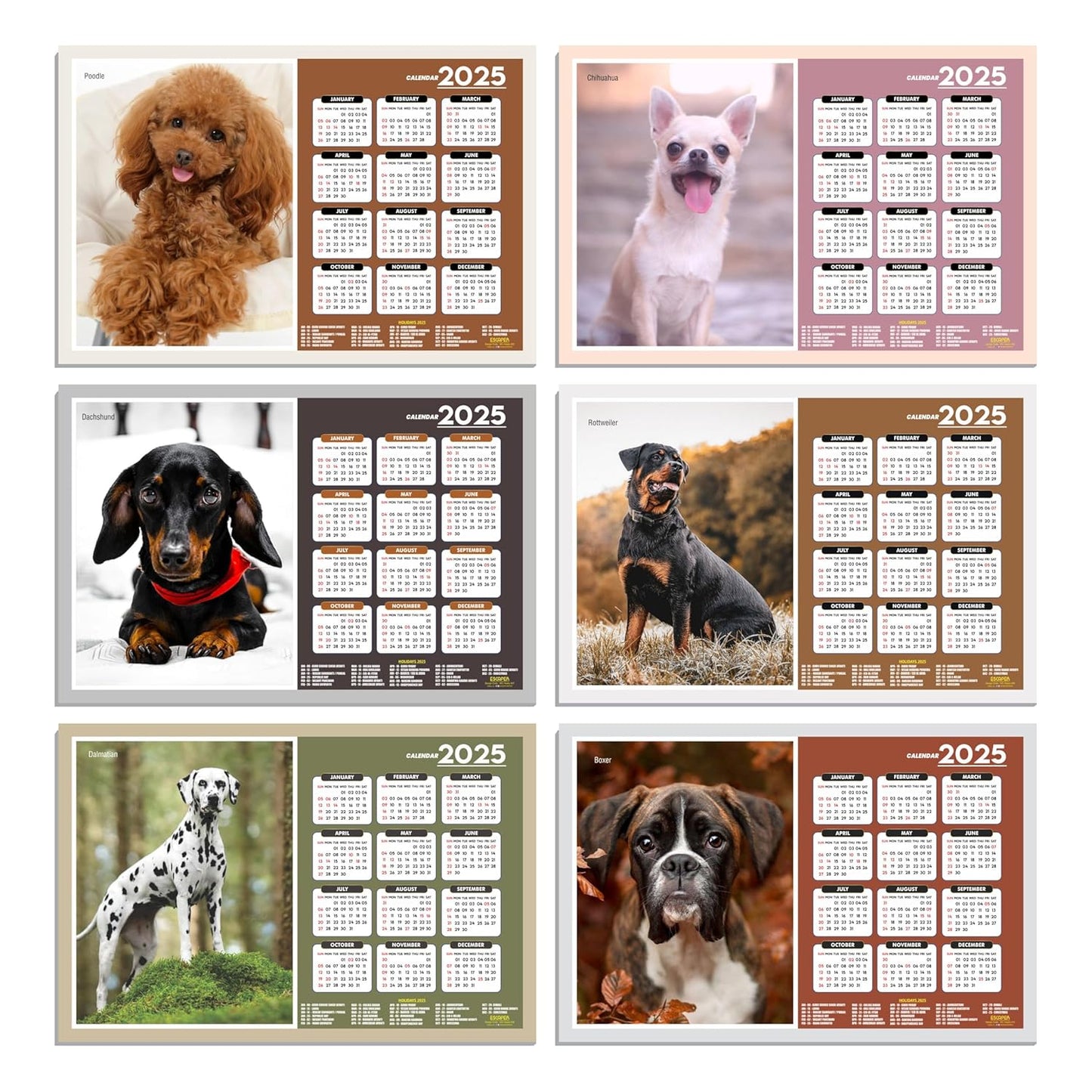 Dog Wall Calendar 2025