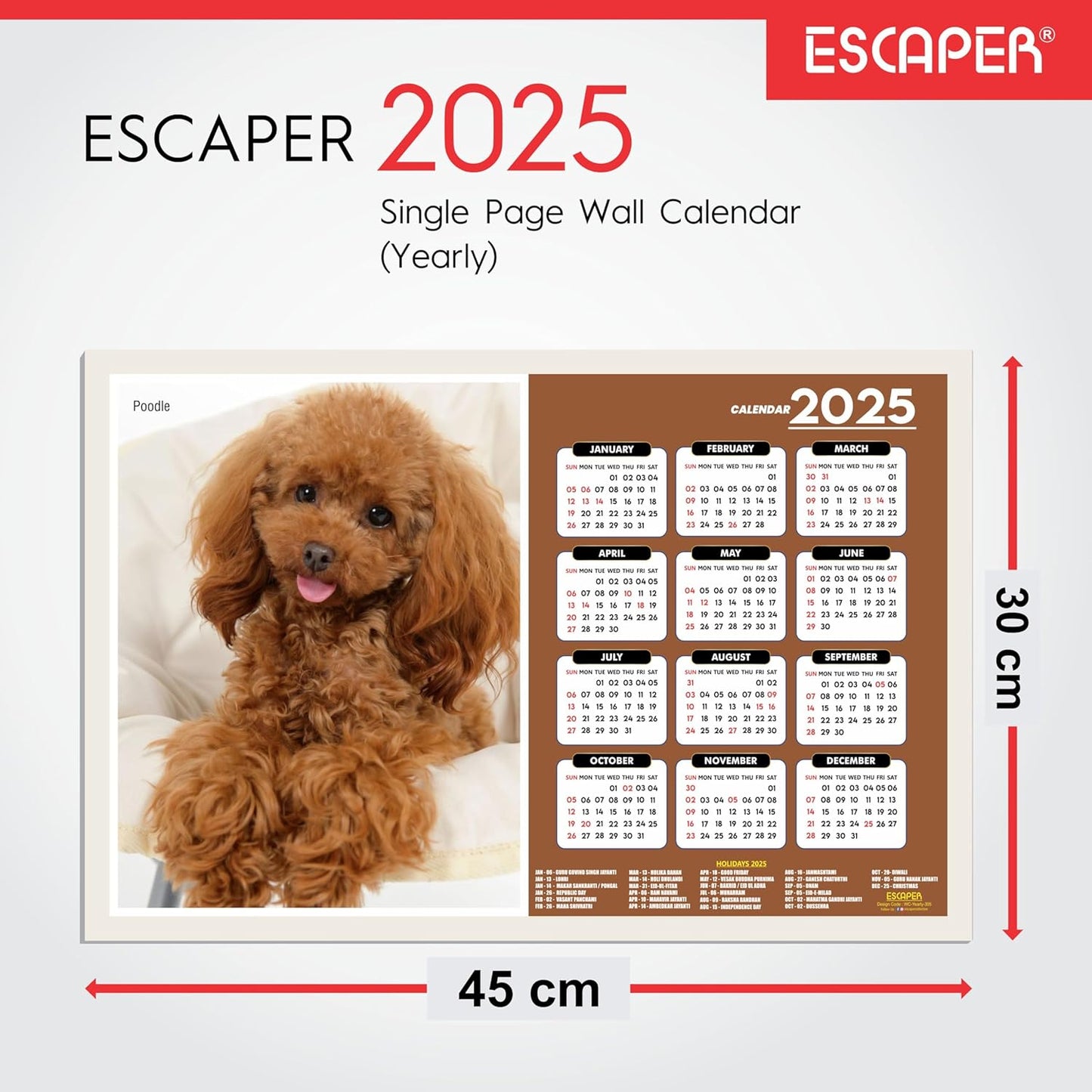 Dog Wall Calendar 2025