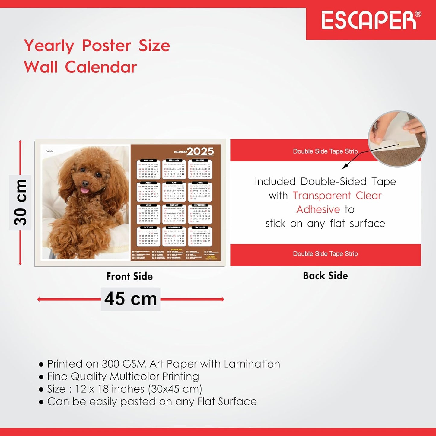 Dog Wall Calendar 2025