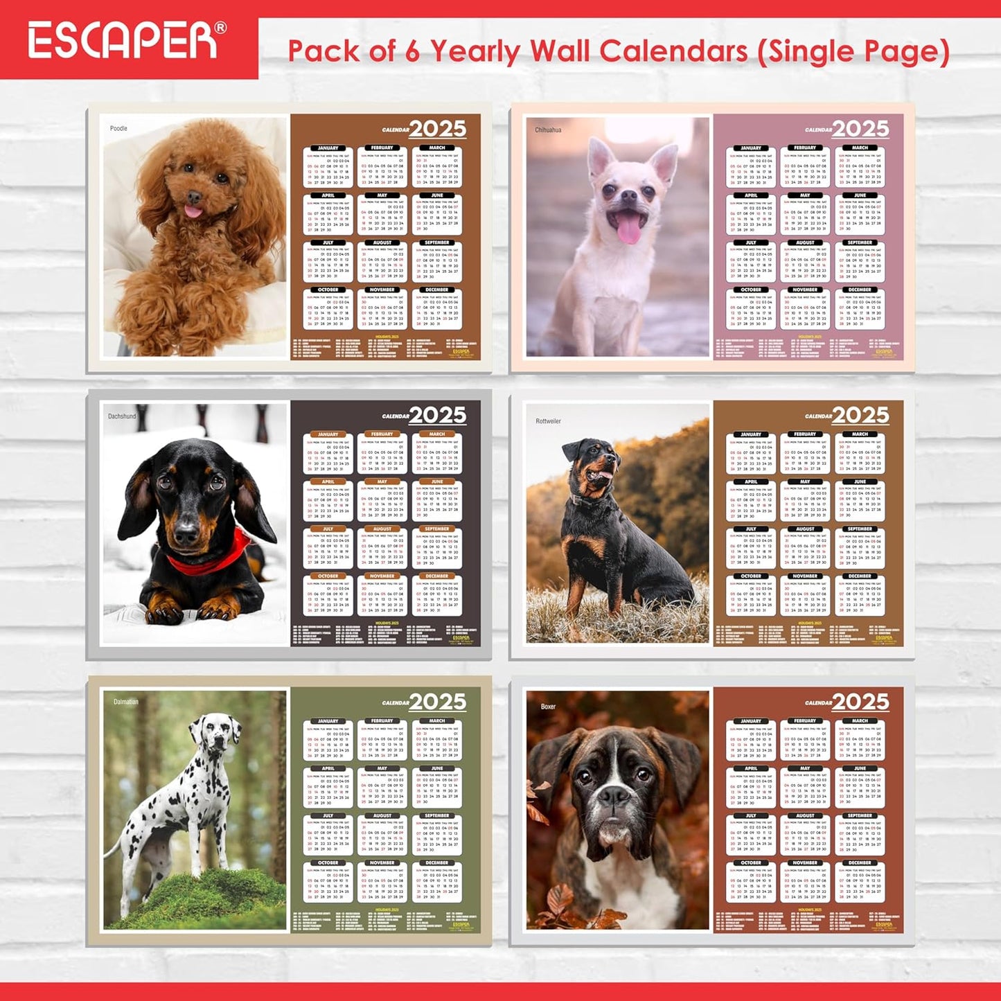 Dog Wall Calendar 2025