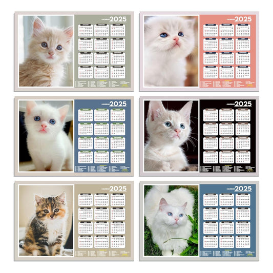 Cats Wall Calendar 2025