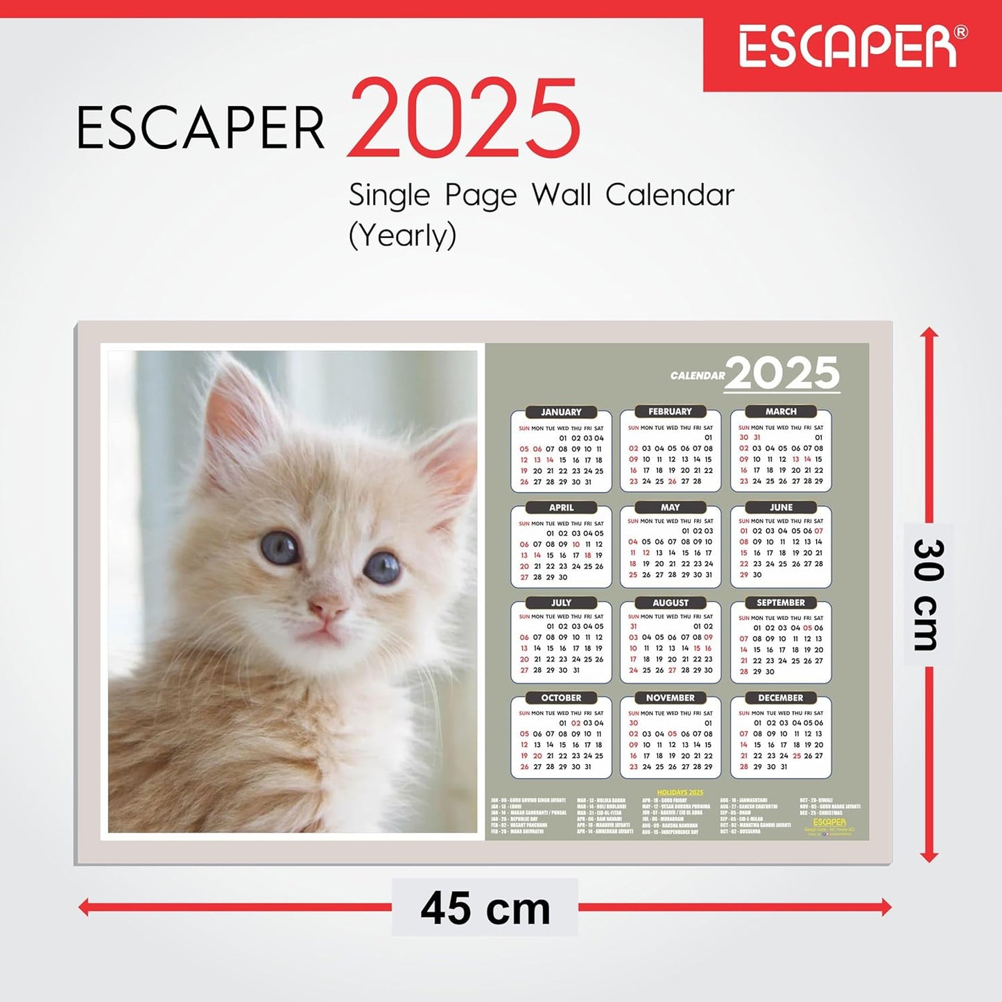 Cats Wall Calendar 2025