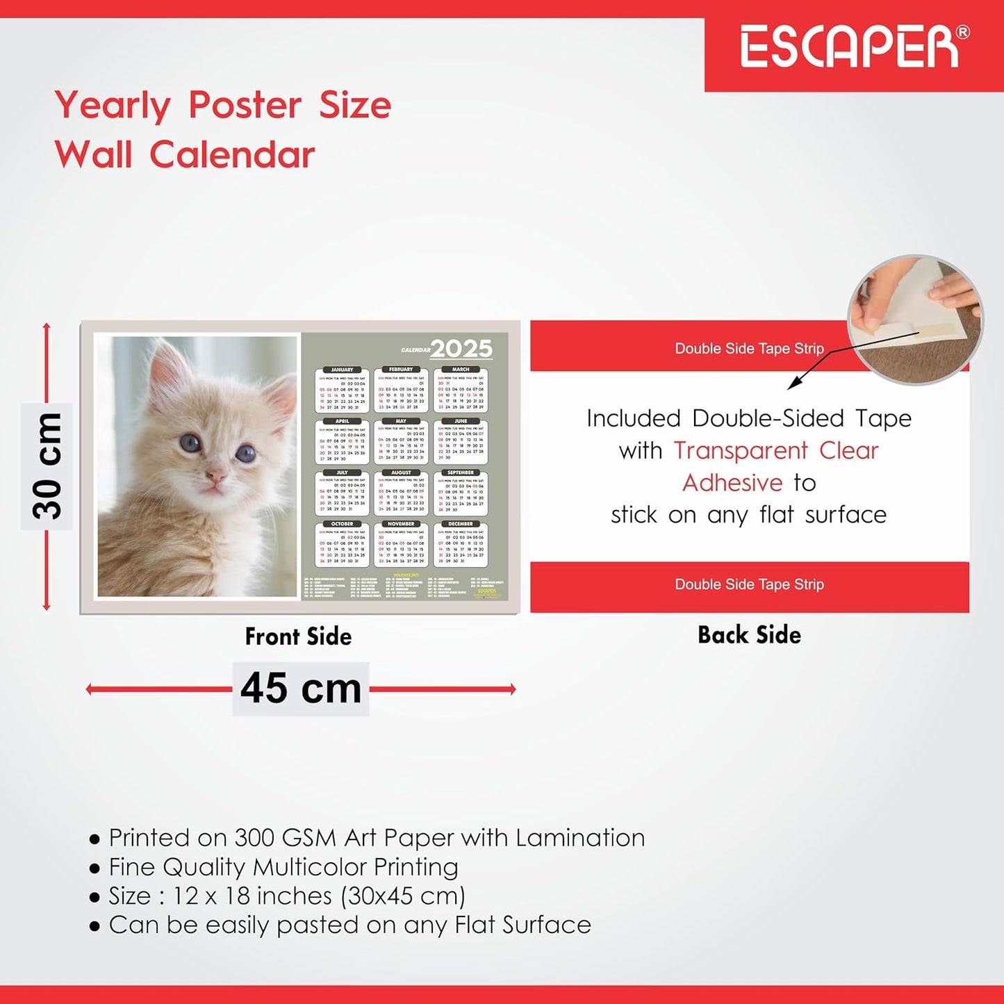 Cats Wall Calendar 2025