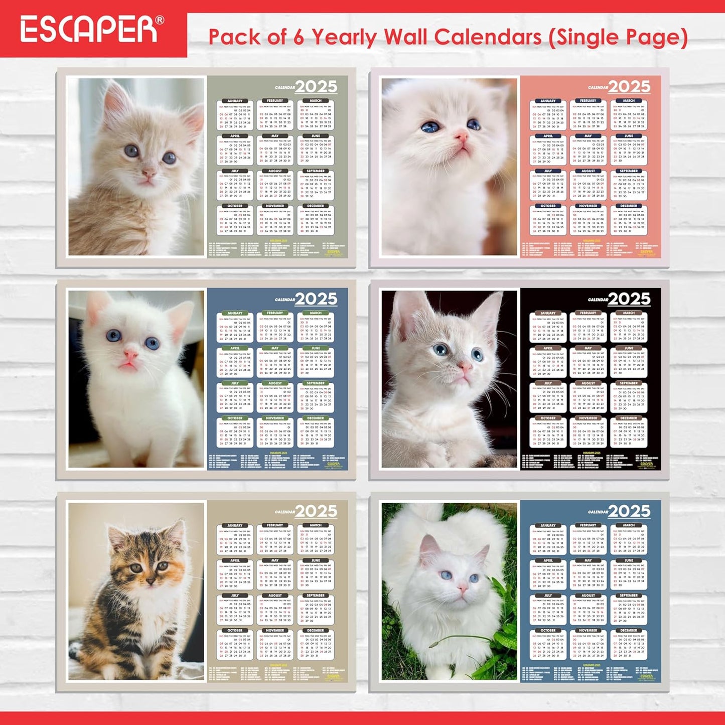 Cats Wall Calendar 2025