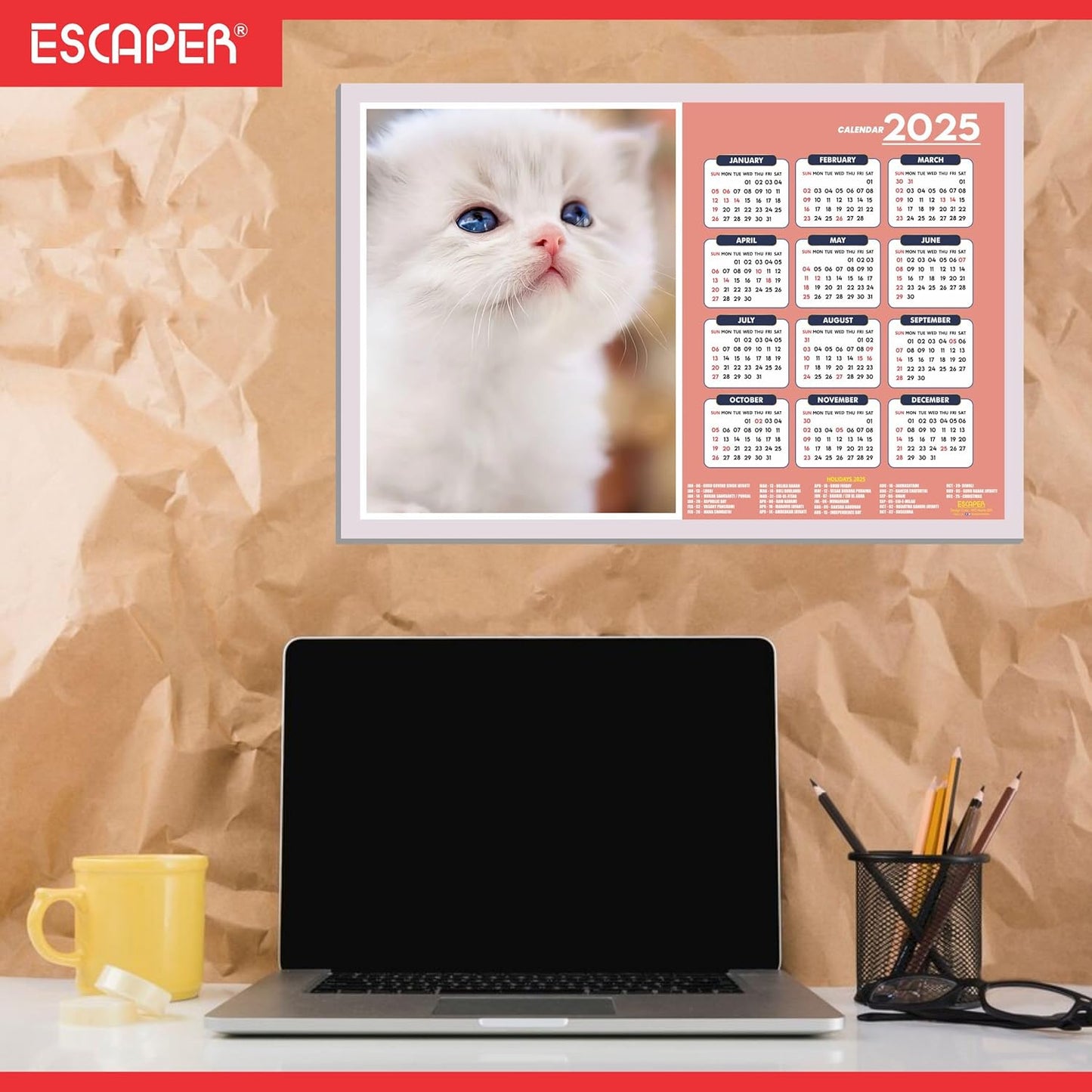 Cats Wall Calendar 2025