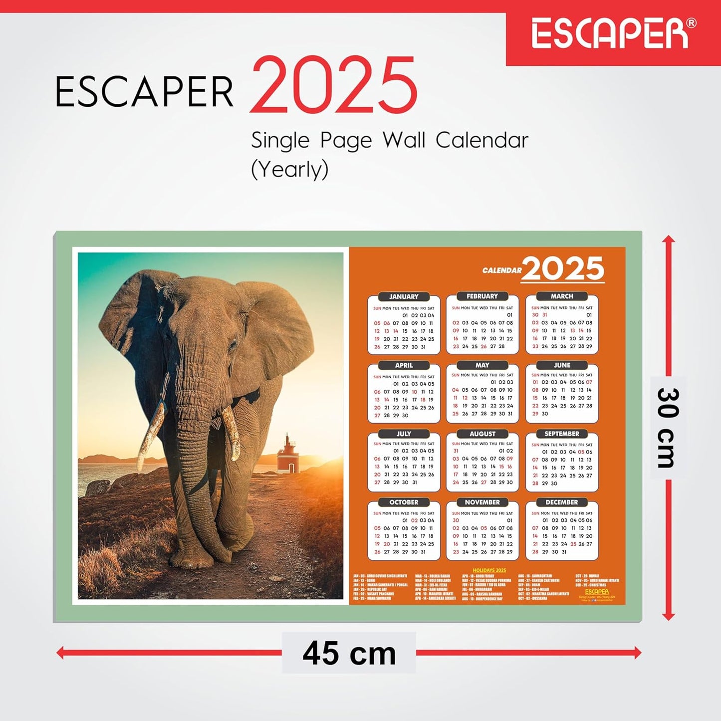 Animal Wall Calendar 2025