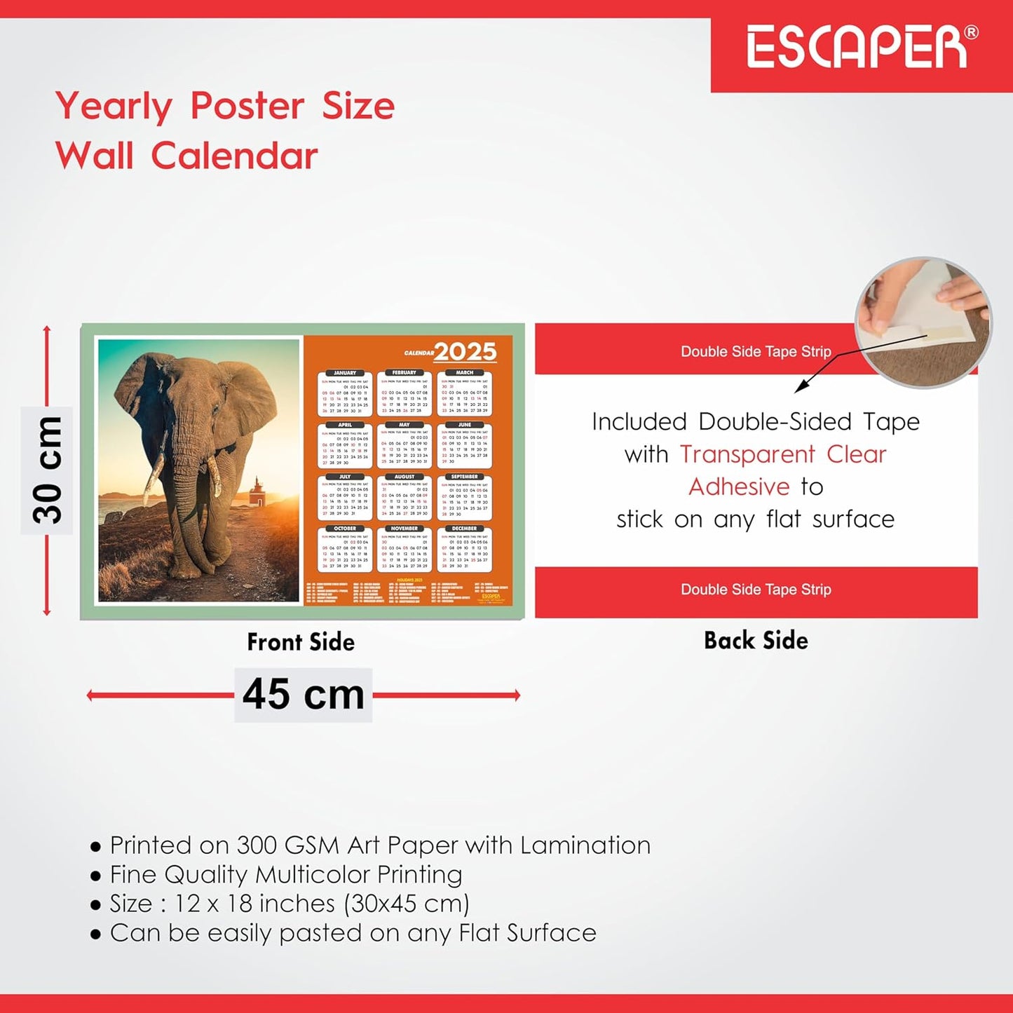 Animal Wall Calendar 2025