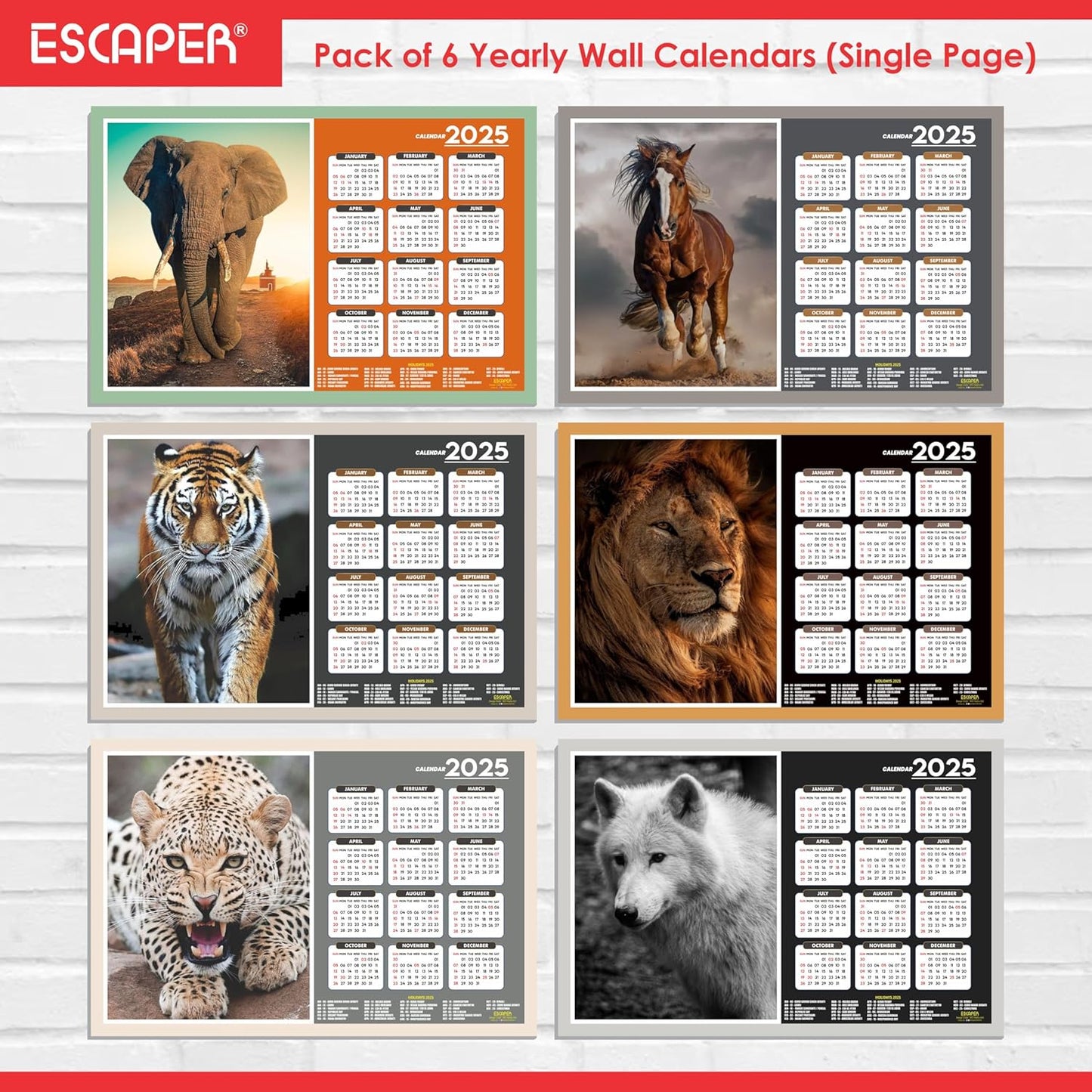 Animal Wall Calendar 2025