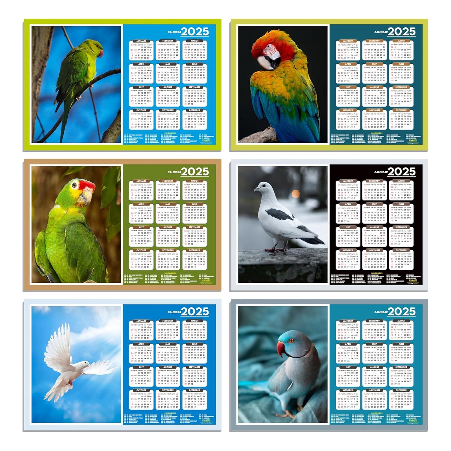 Cute Birds Wall Calendar 2025