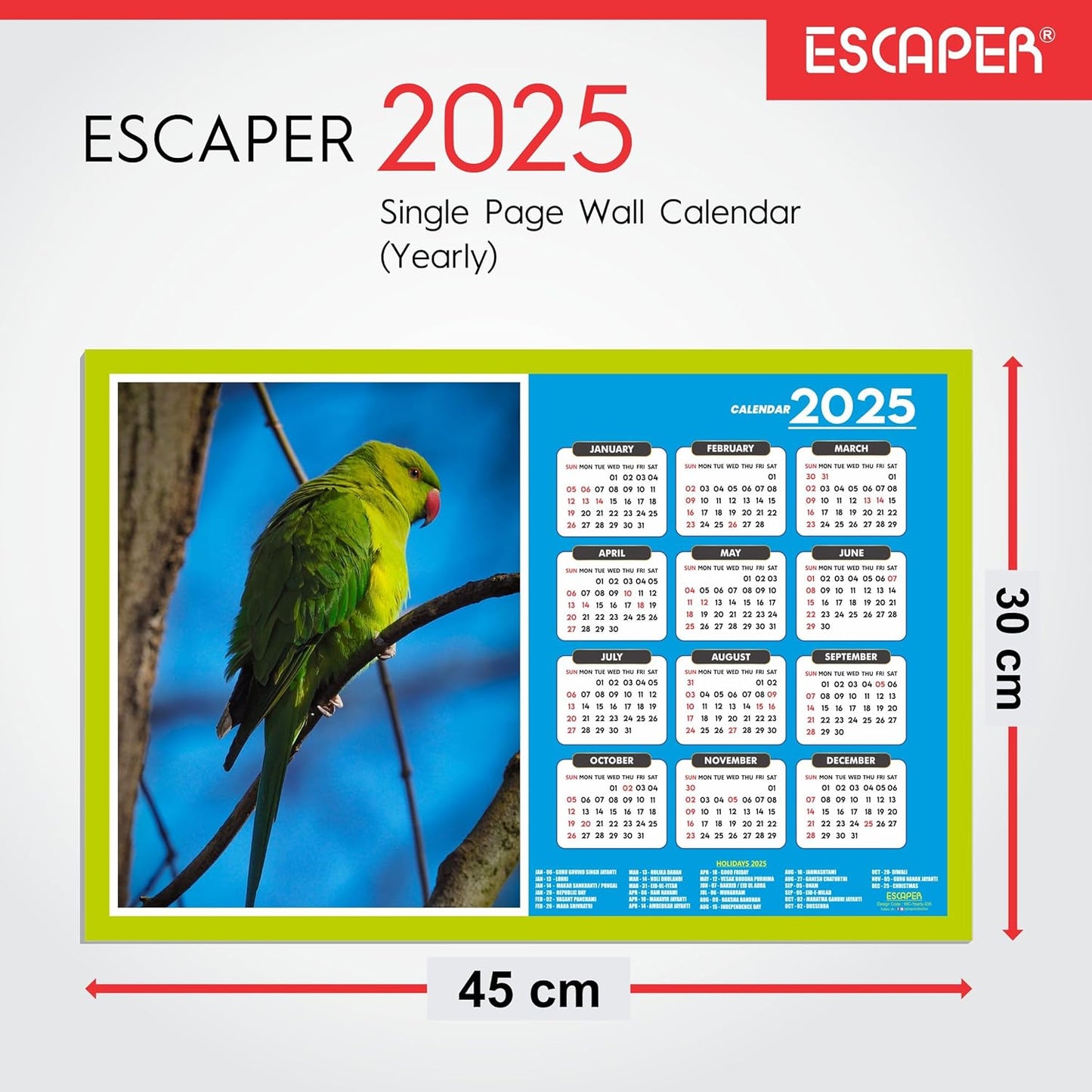 Cute Birds Wall Calendar 2025