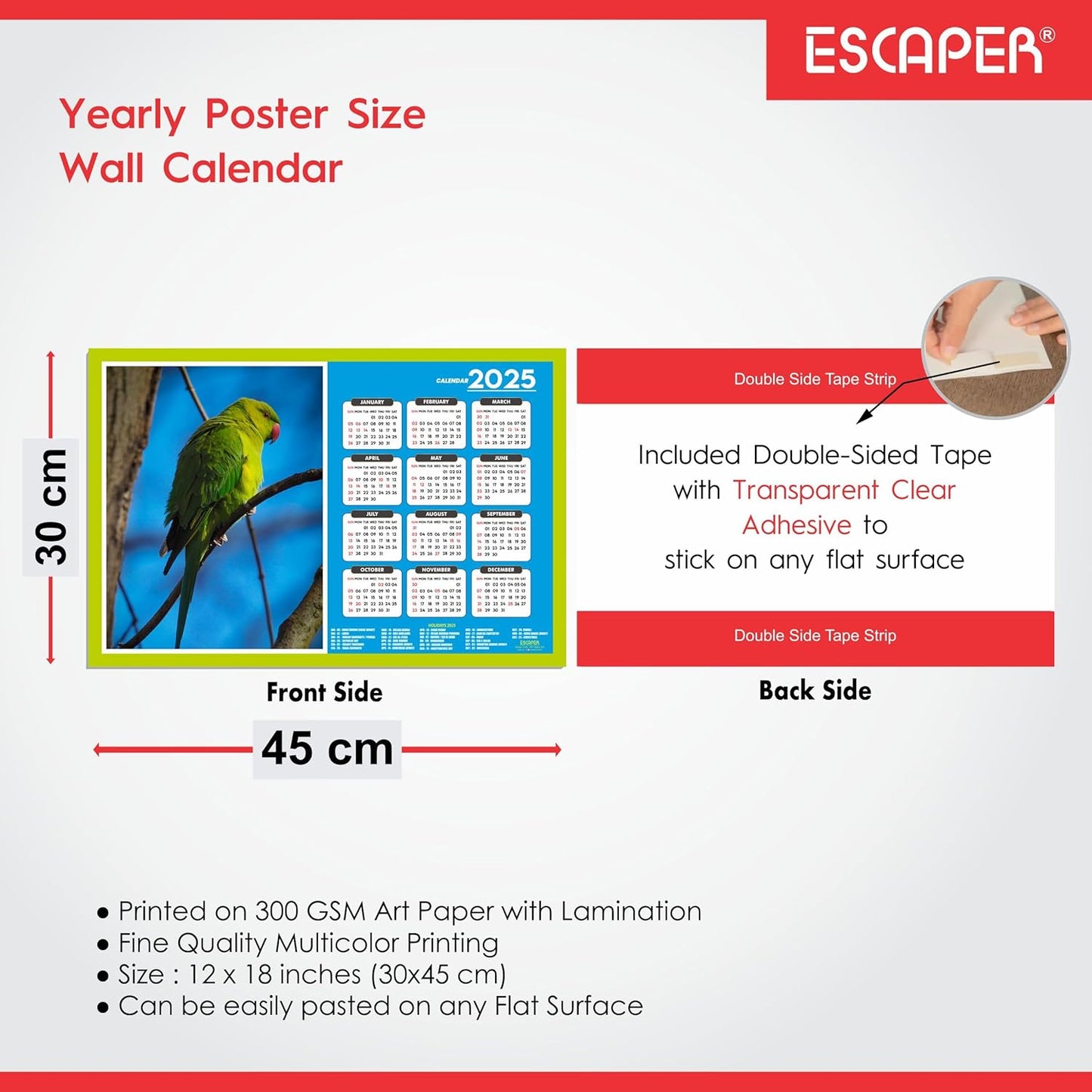 Cute Birds Wall Calendar 2025