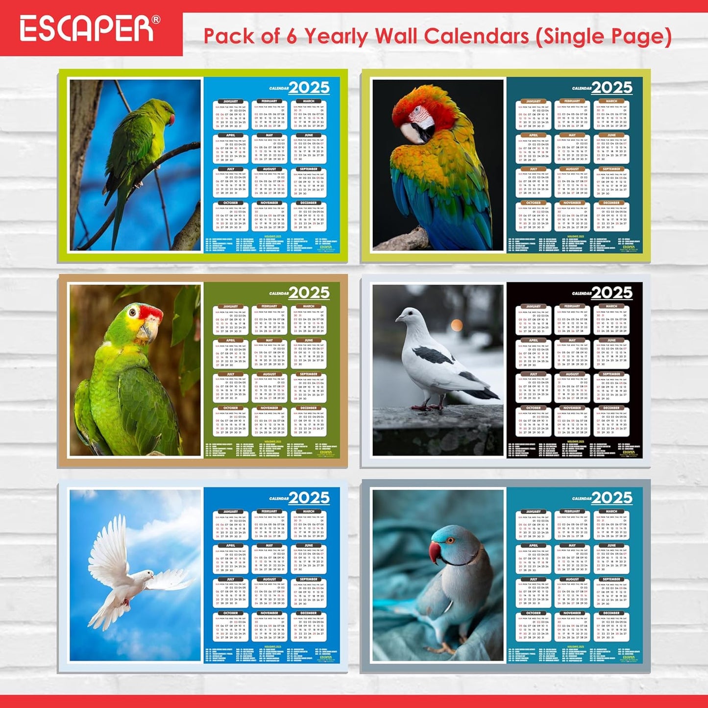 Cute Birds Wall Calendar 2025