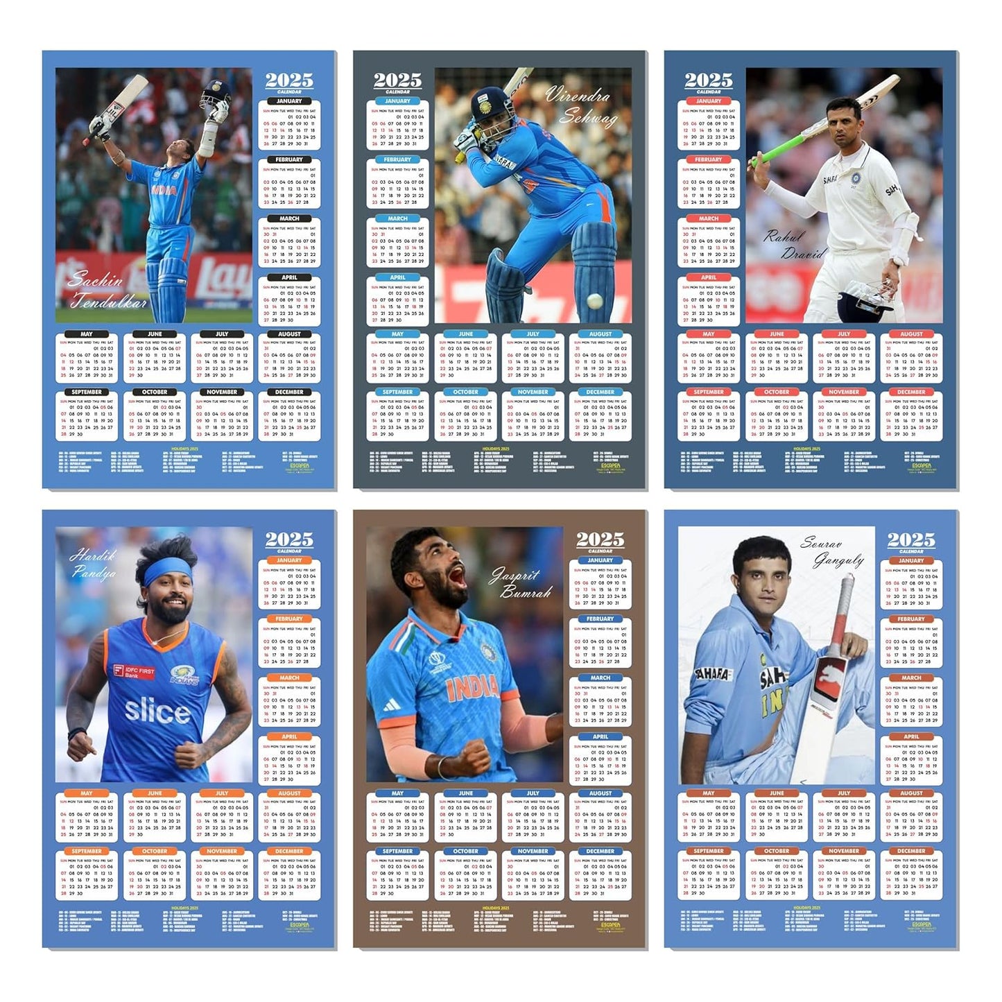 Cricket Wall Calendar 2025