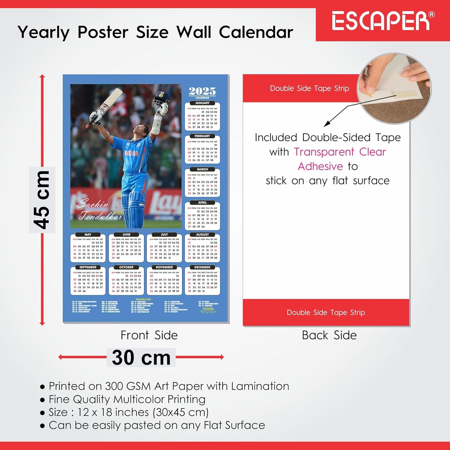 Cricket Wall Calendar 2025