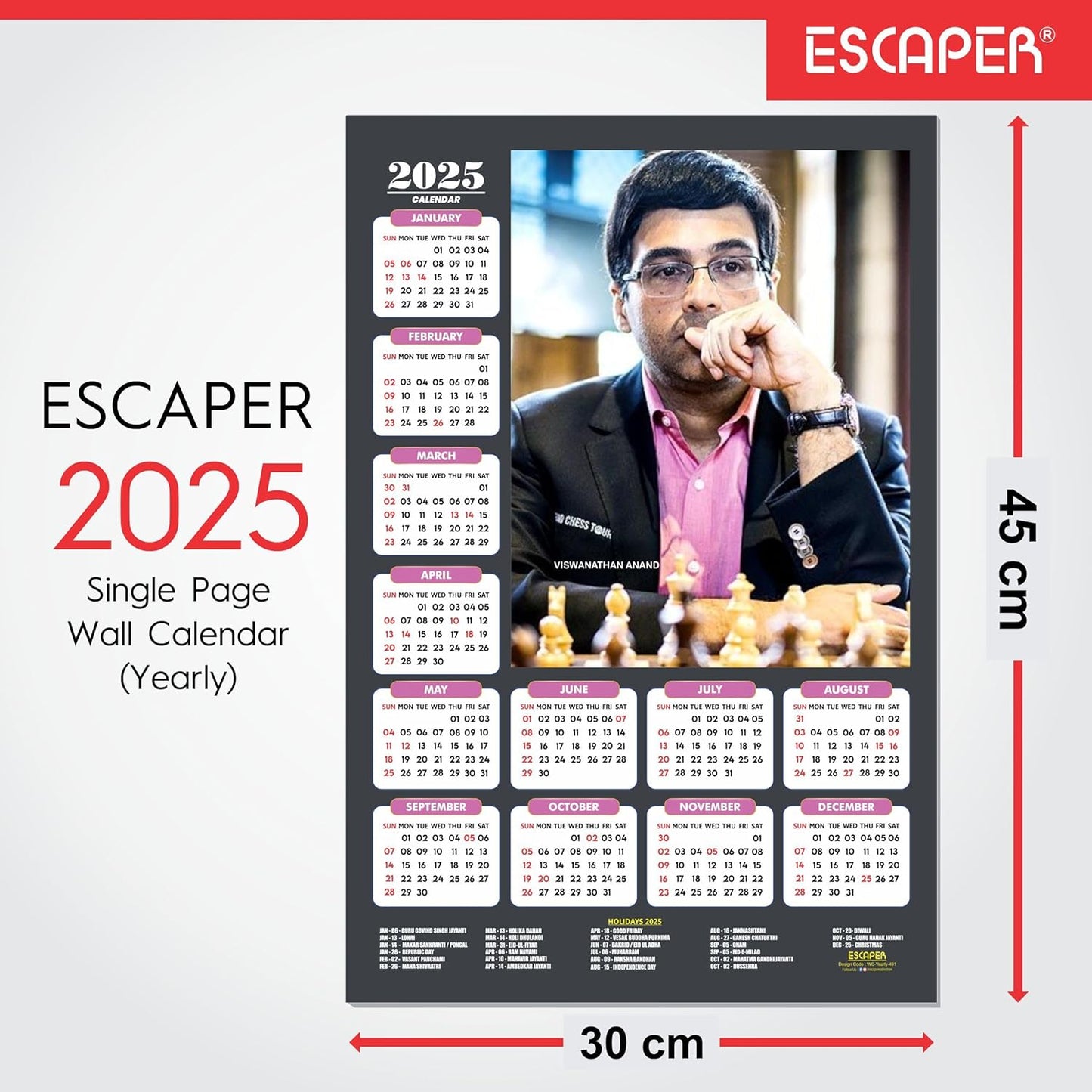 Olypmic Medalist Players Wall Calendar 2025