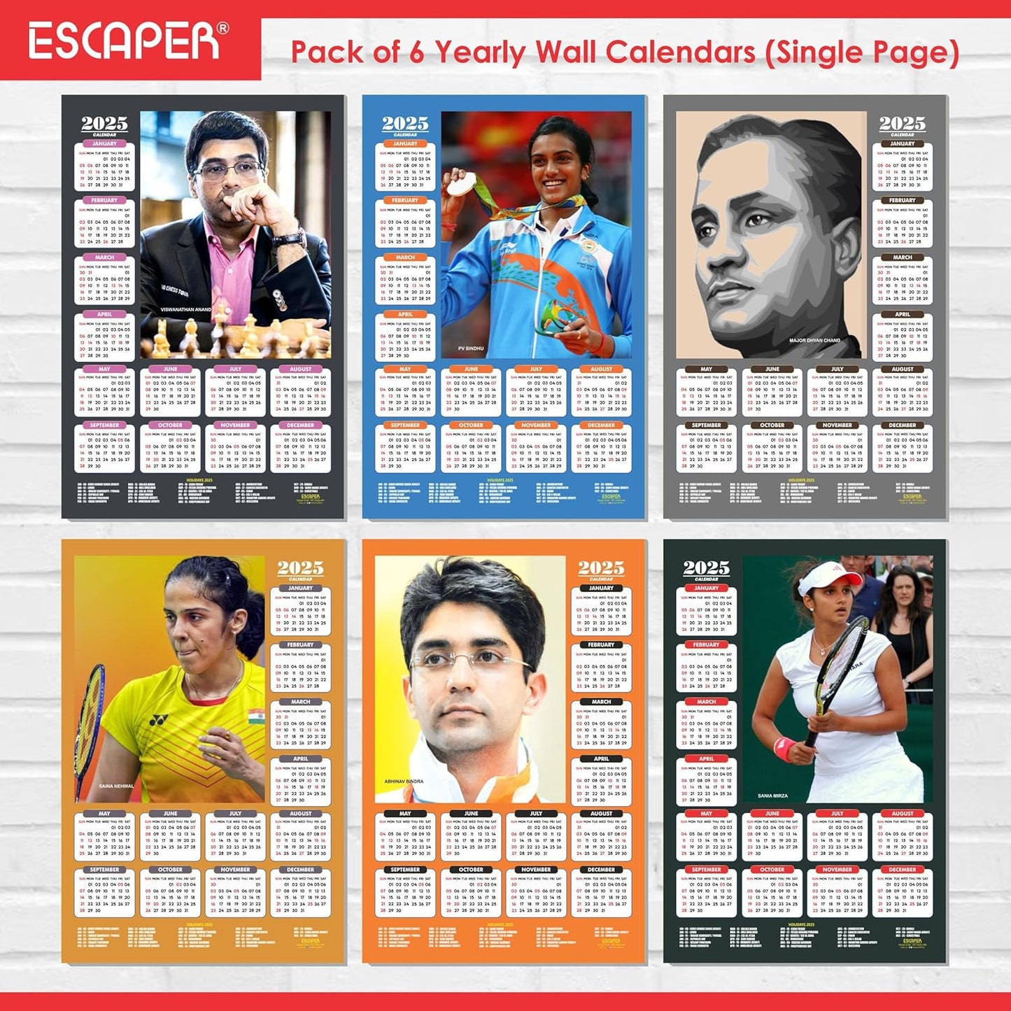 Olypmic Medalist Players Wall Calendar 2025