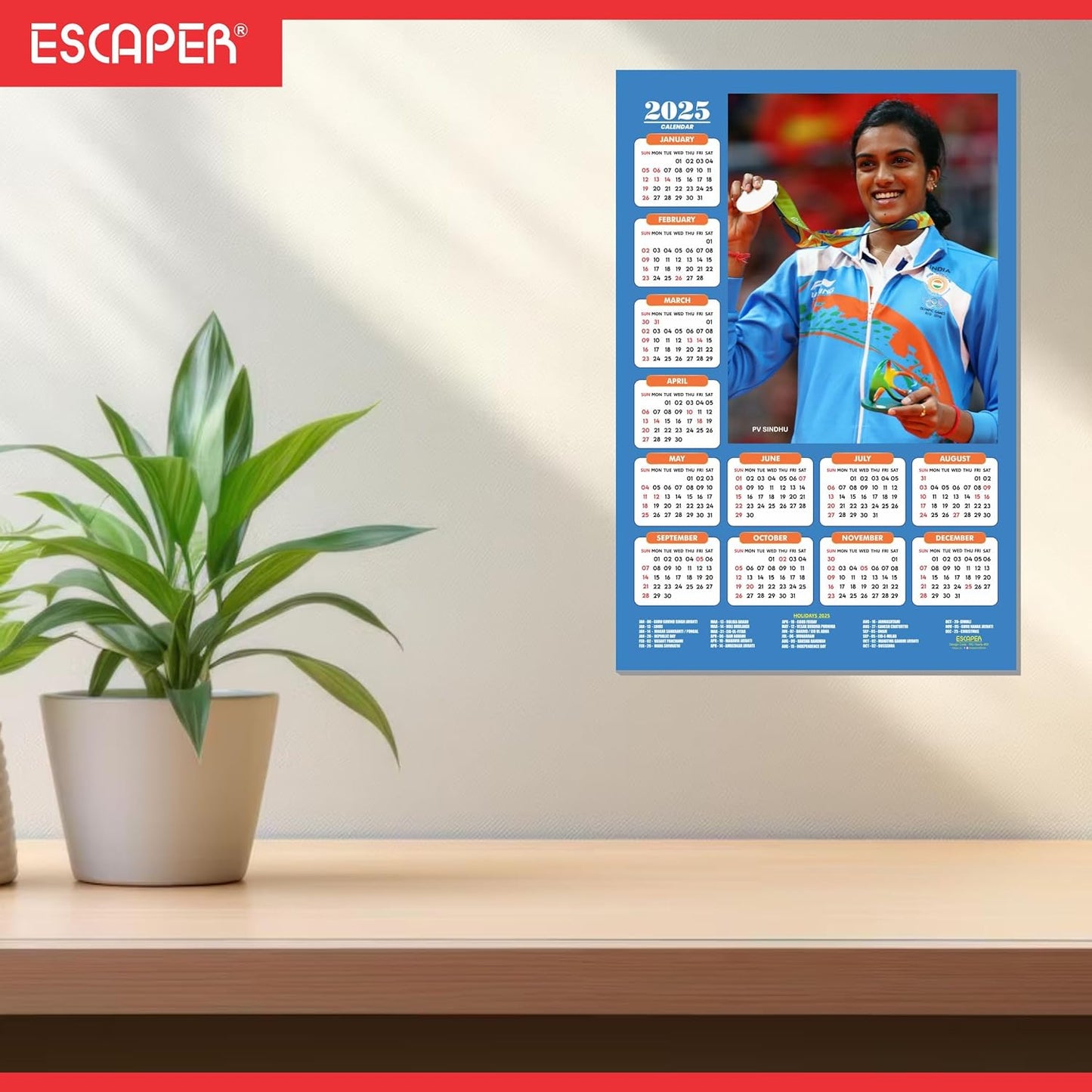 Olypmic Medalist Players Wall Calendar 2025