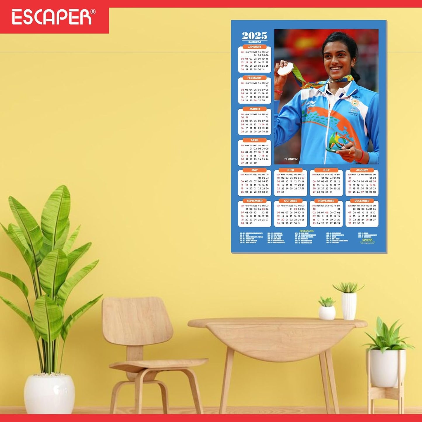 Olypmic Medalist Players Wall Calendar 2025